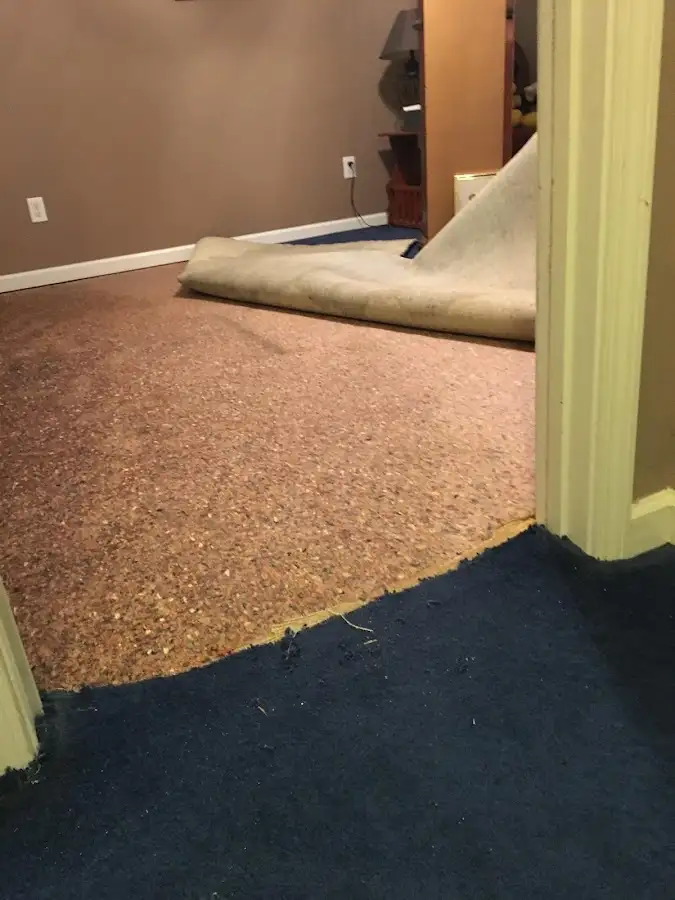 Carpet pad removal revealing water damage during Drying & Dehumidification in Warrenton